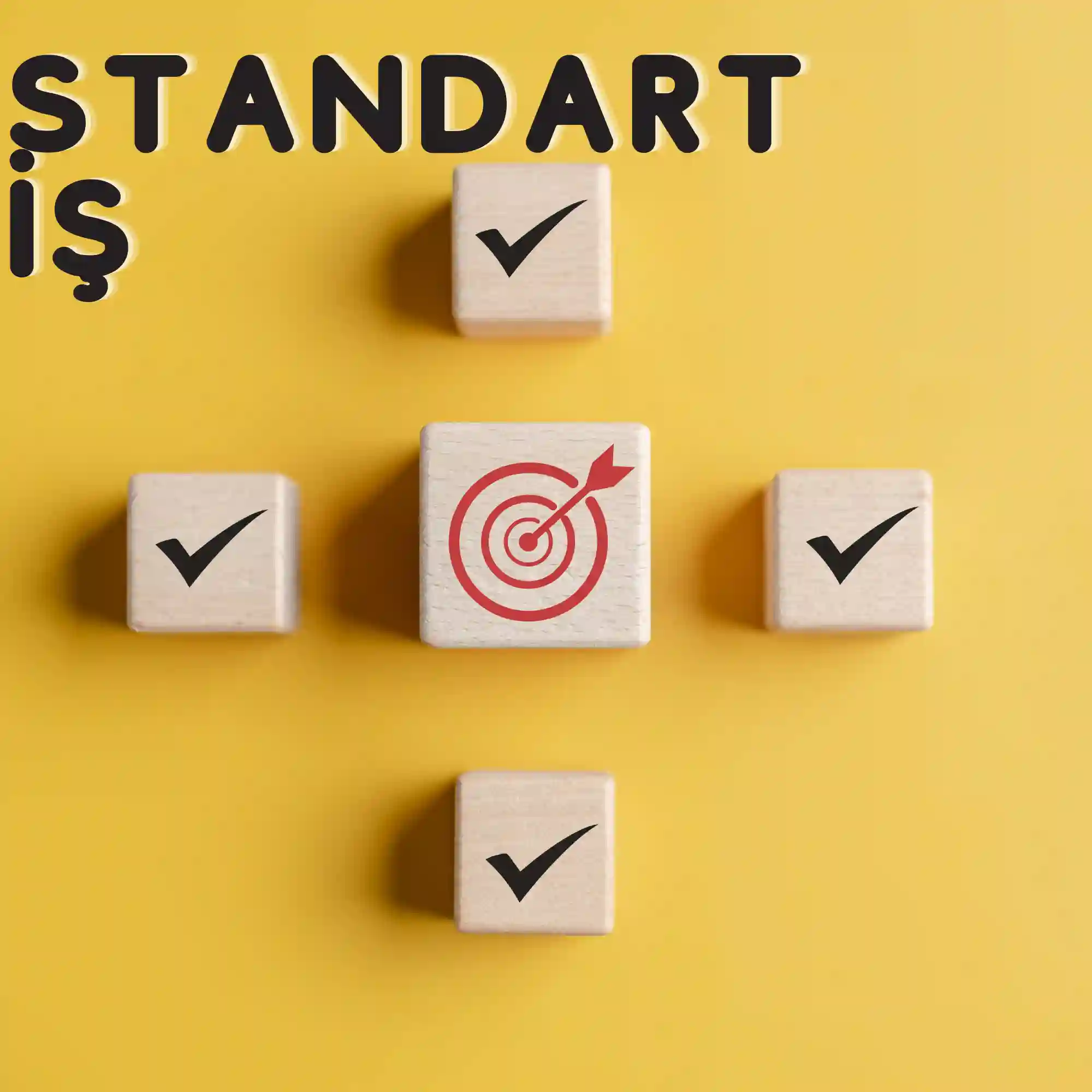 Standart İş, İş Standartları ve SOP
